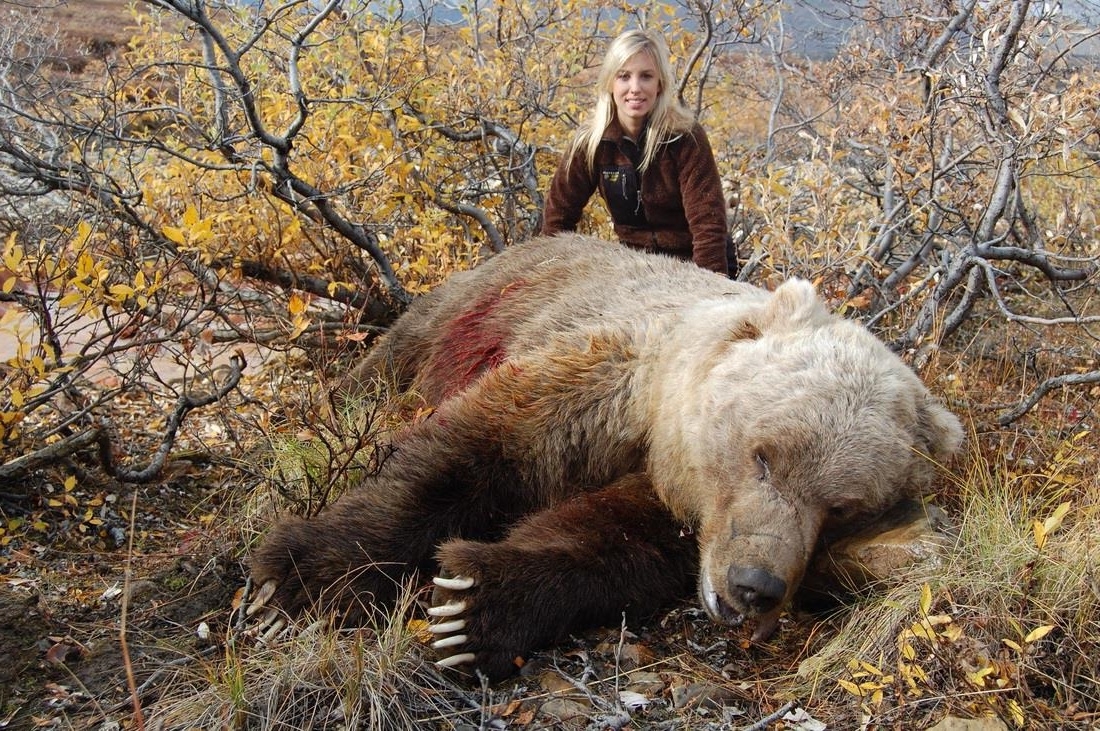 правила охоты на медведя осенью